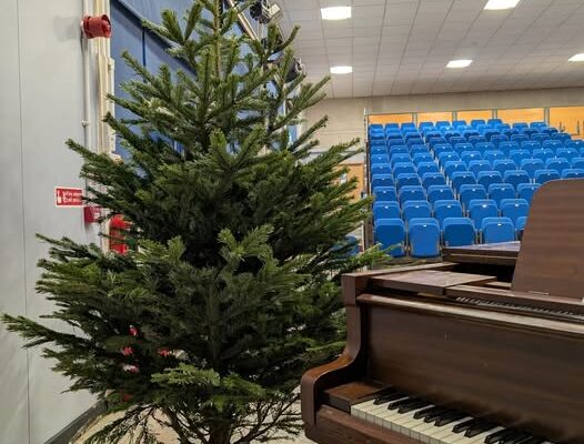 Donated Tree Brightens Theatre